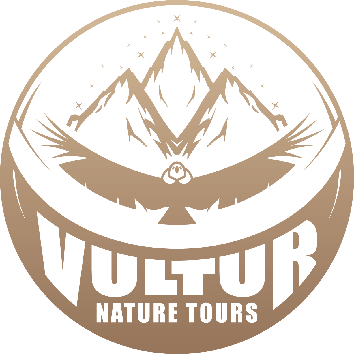 Logo Vultur